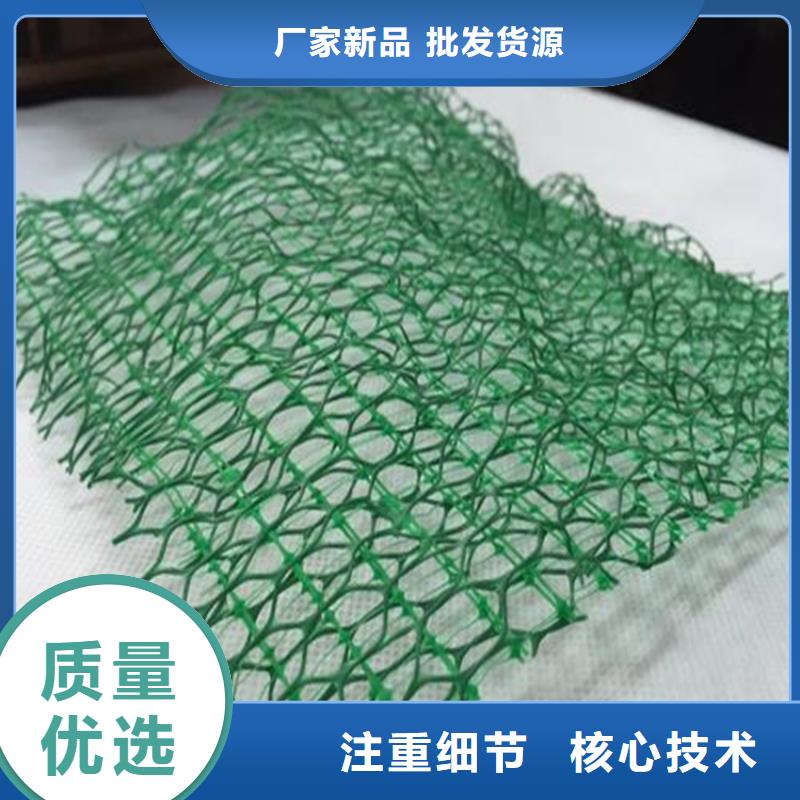 鼎诺土工格栅【三维植被网】_软式透水管免费询价sz5e.com