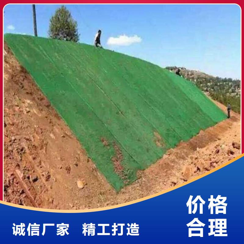 三維植被網【排水板】從廠家買售后有保障