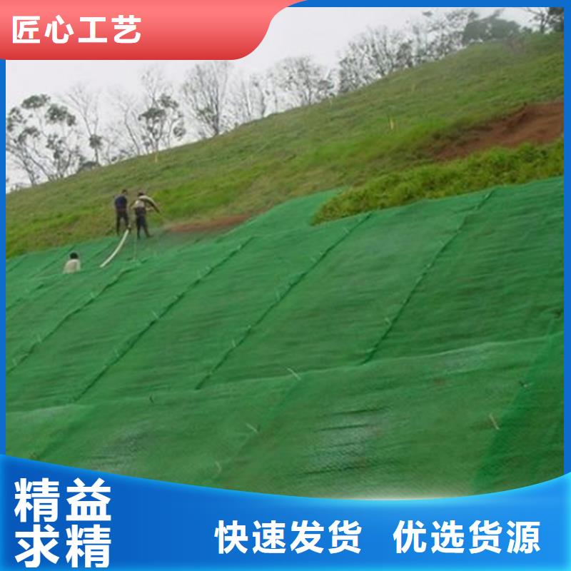 植草三維土工網墊