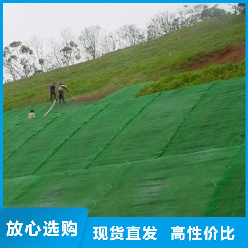 三维植被网,【塑料排水板】产地厂家直销