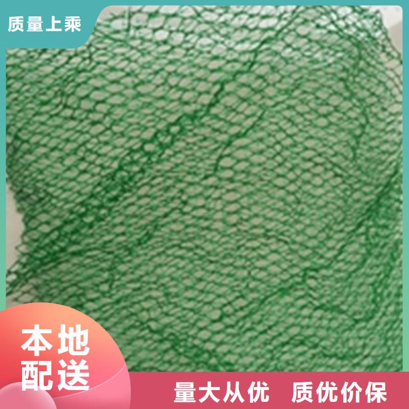 【三維植被網(wǎng)【植草格】顏色尺寸款式定制】