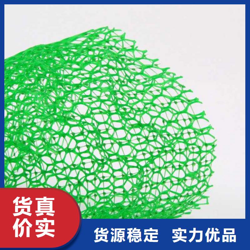 鼎诺土工格栅【三维植被网】_软式透水管免费询价sz5e.com