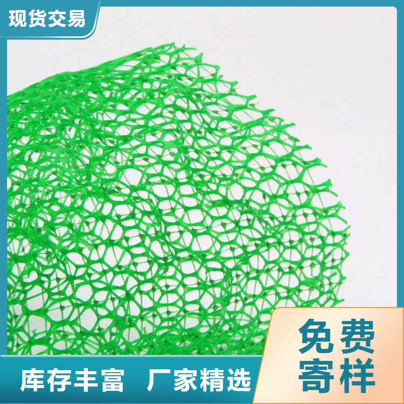 三維植被網(wǎng)防水板顏色尺寸款式定制