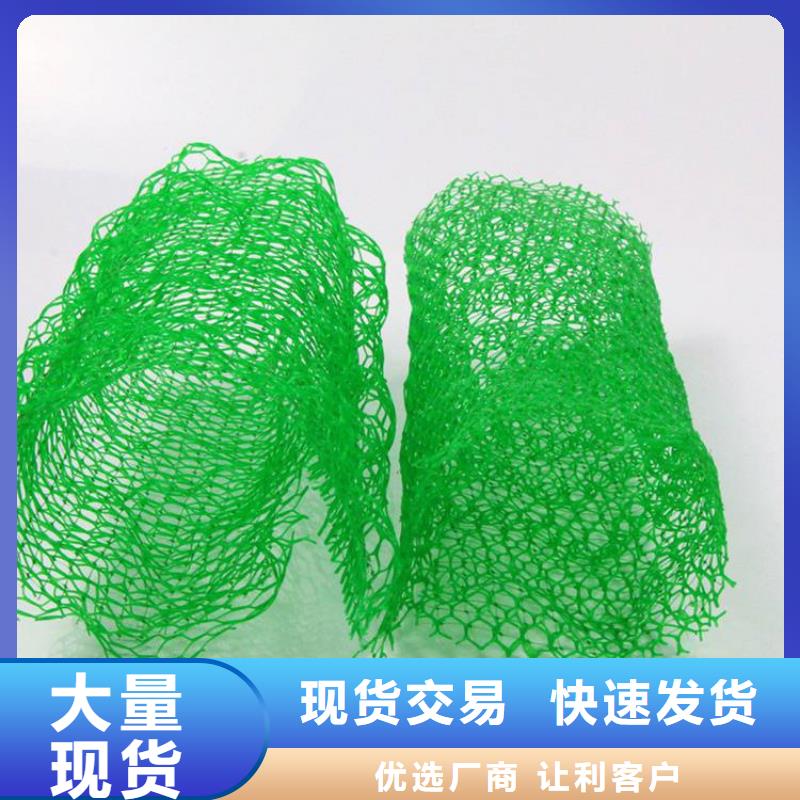 土工格栅视频-土工格栅_云南省德宏市市场覆盖芒市|瑞丽|临沧|丽江|红河|昆明|楚雄等
