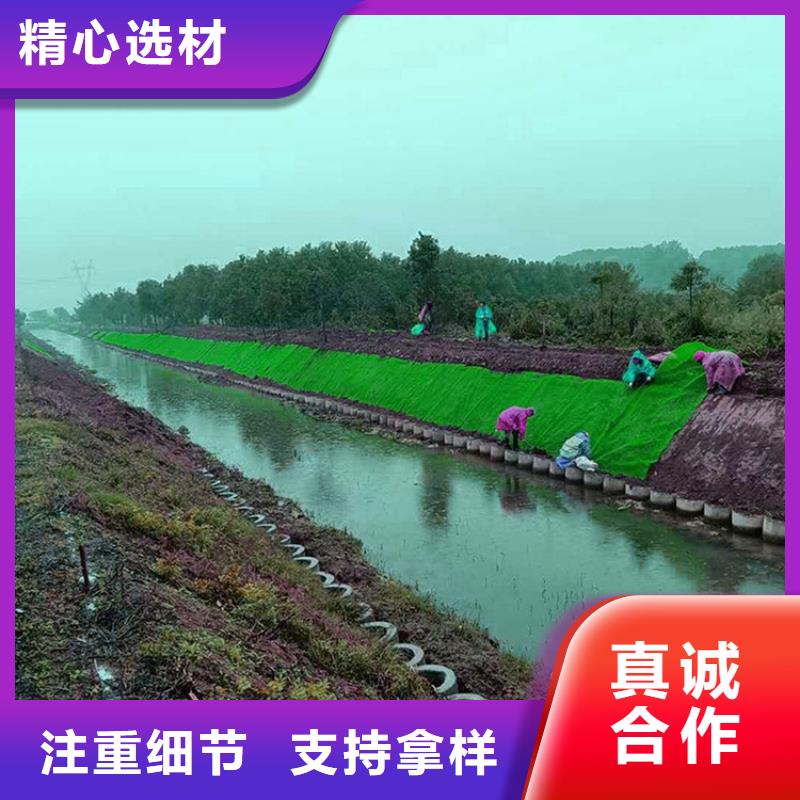 邊坡綠化三維土工網墊