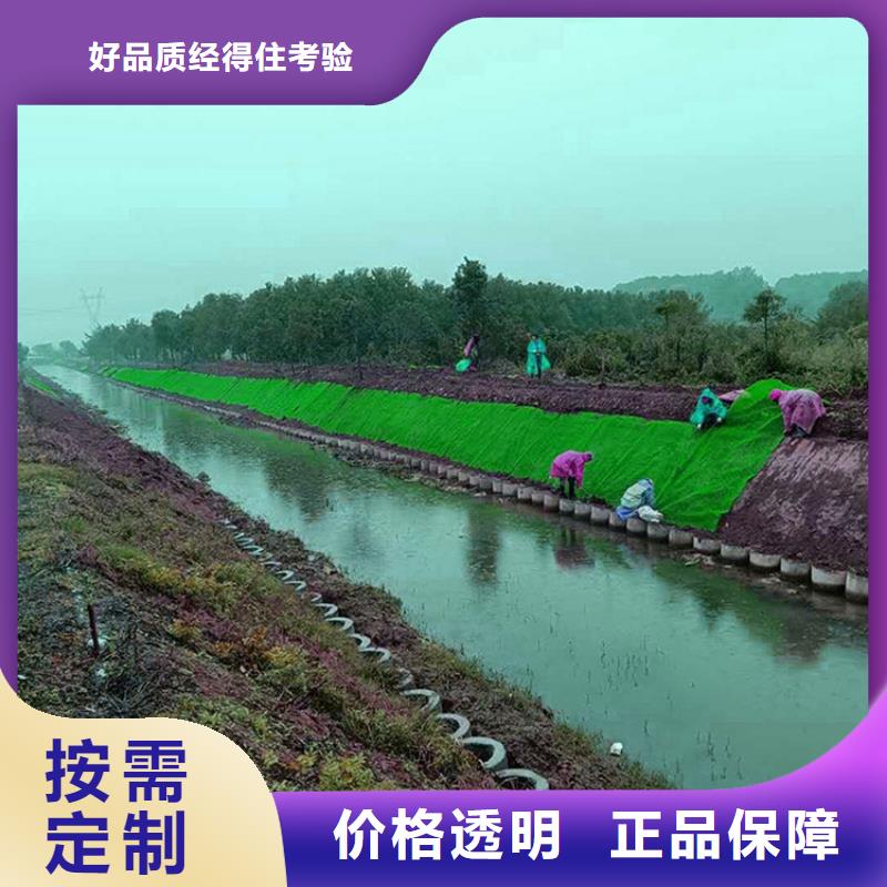 三維植被網【排水板】從廠家買售后有保障