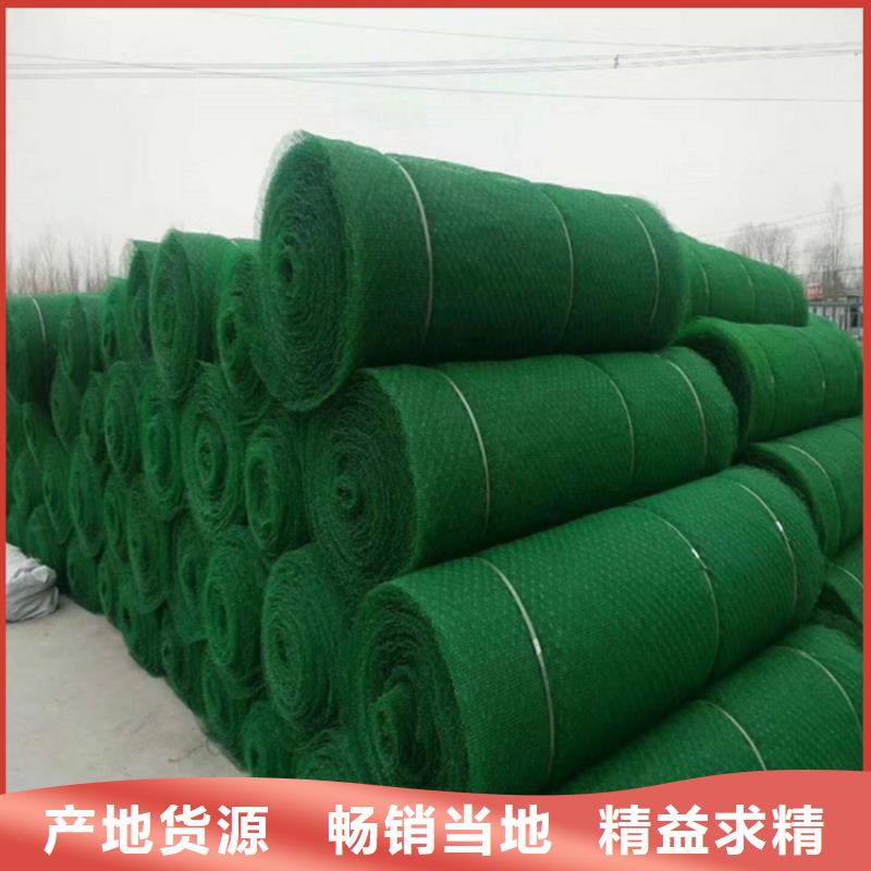 三維植被網(wǎng)防草布質(zhì)優(yōu)價保