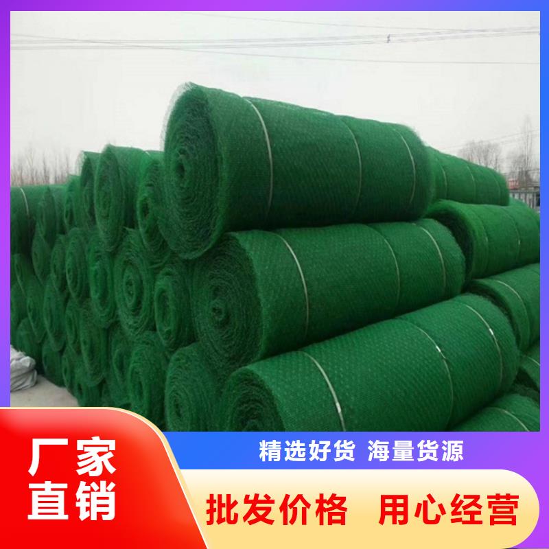 三維植被網軟式透水管一站式采購商