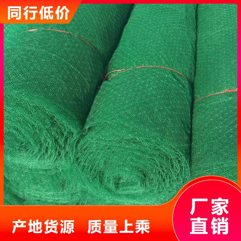 三維植被網(wǎng)代理批發(fā)