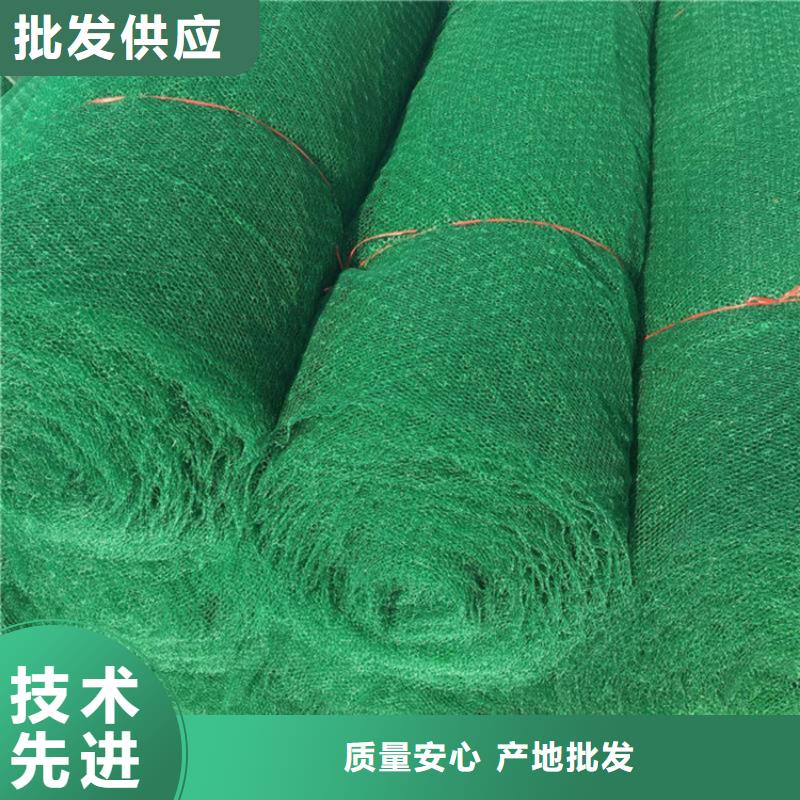 【 三维植被网膨润土防水毯买的放心】 鼎诺土工材料(益阳市分公司)