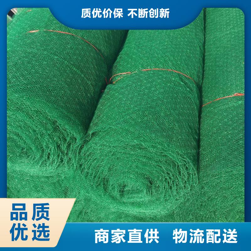 三維植被網軟式透水管一站式采購商