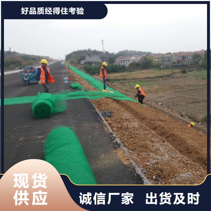 三維土工網(wǎng)墊護(hù)坡塑料