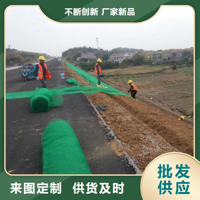 土工格栅视频-土工格栅(鼎诺)覆盖地域湖南省益阳市赫山|桃江|永州|岳阳|怀化|株洲|长沙|湘潭