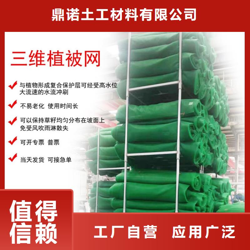 三維植被網膨潤土防水毯嚴選好貨