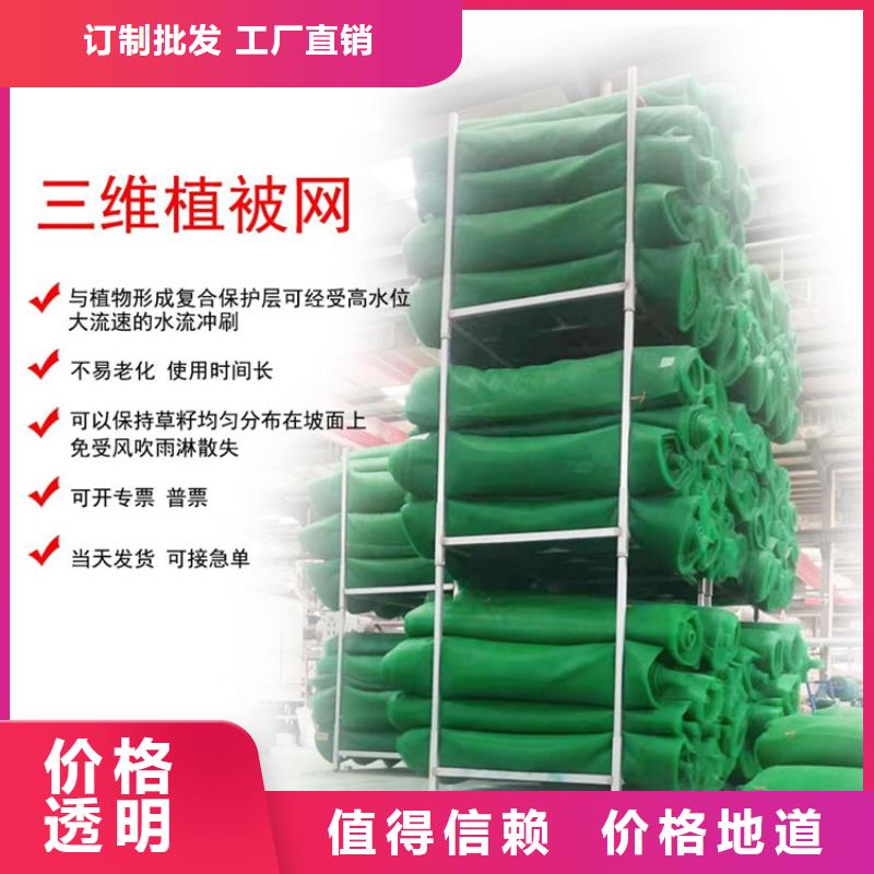 邊坡綠化三維土工網墊