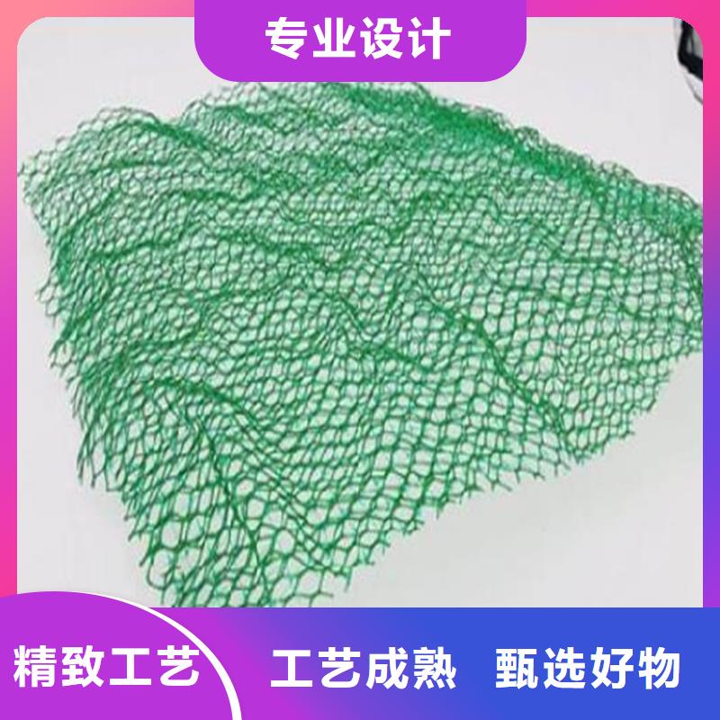 鼎诺土工格栅【三维植被网】_软式透水管免费询价sz5e.com