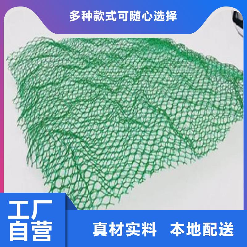 三維植被網(wǎng)防草布質(zhì)優(yōu)價(jià)保