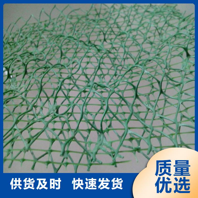 三維植被網(wǎng)防水毯經(jīng)久耐用