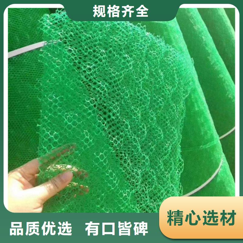 【三維植被網(wǎng)【植草格】顏色尺寸款式定制】