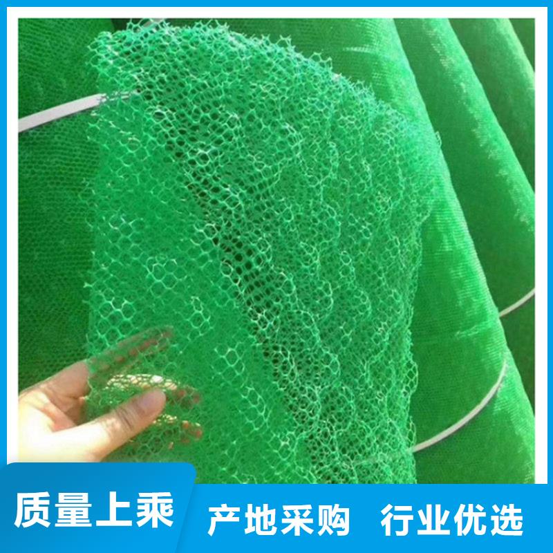 土工格栅视频-土工格栅-鼎诺土工材料(六安市分公司)服务区域寿县|霍山|合肥|巢湖|蚌埠|淮北|滁州|马鞍山