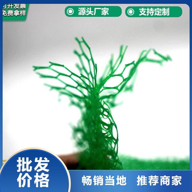 【三維植被網(wǎng)【植草格】顏色尺寸款式定制】