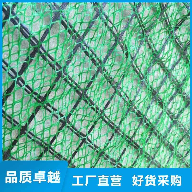 三維植被網(wǎng)防草布質(zhì)優(yōu)價(jià)保