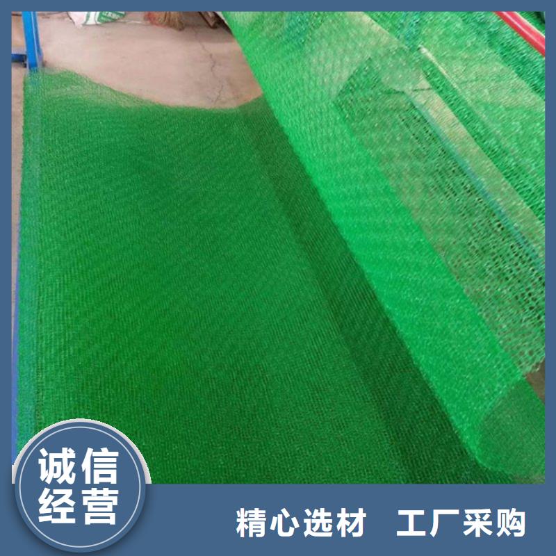 三維植被網(wǎng),土工膜真正的源頭廠家