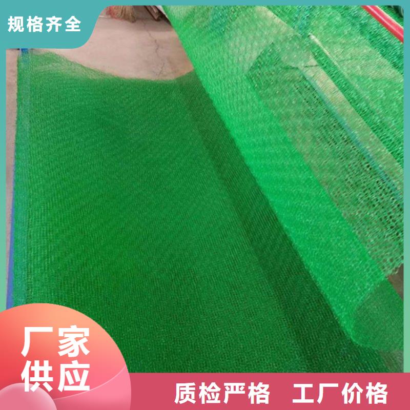 三維植被網-【防草布】廠家直接面向客戶