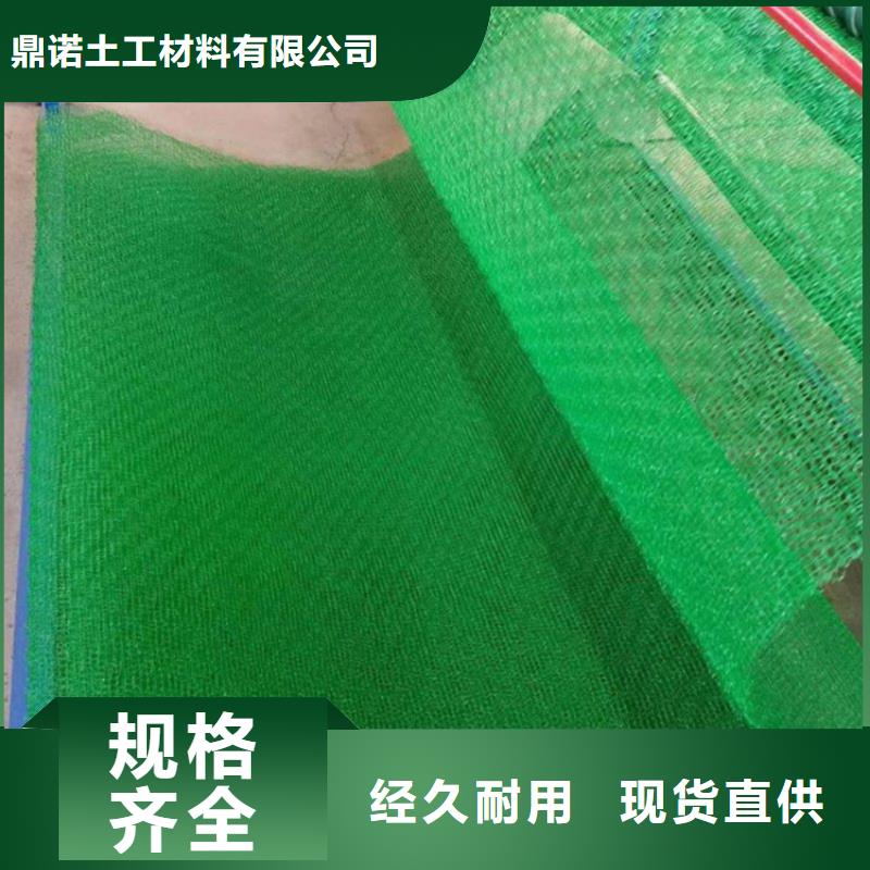 三維土工網(wǎng)墊護(hù)坡塑料