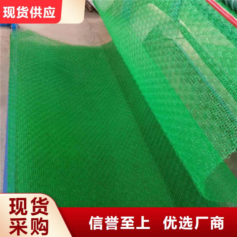 土工格栅视频-土工格栅_云南省德宏市市场覆盖芒市|瑞丽|临沧|丽江|红河|昆明|楚雄等