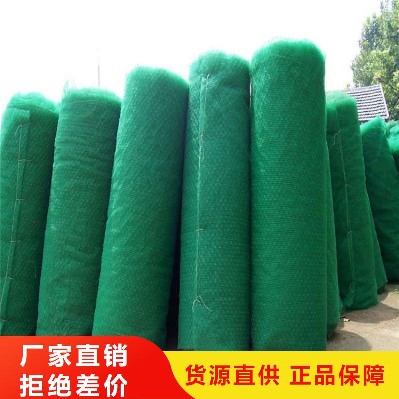 三維植被網(wǎng),土工膜真正的源頭廠家