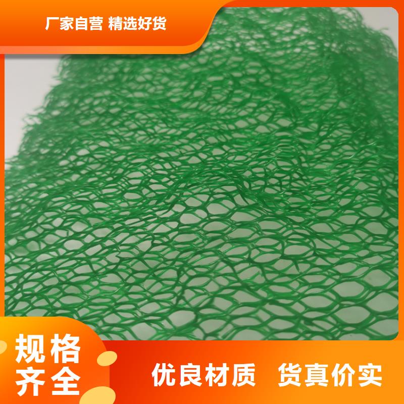 鼎诺土工格栅【三维植被网】_软式透水管免费询价sz5e.com