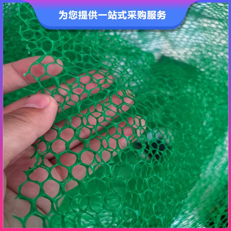 邊坡綠化三維土工網墊