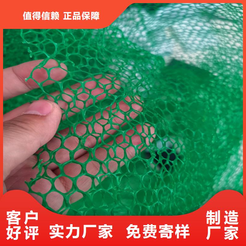三維植被網【【保濕布】】服務周到