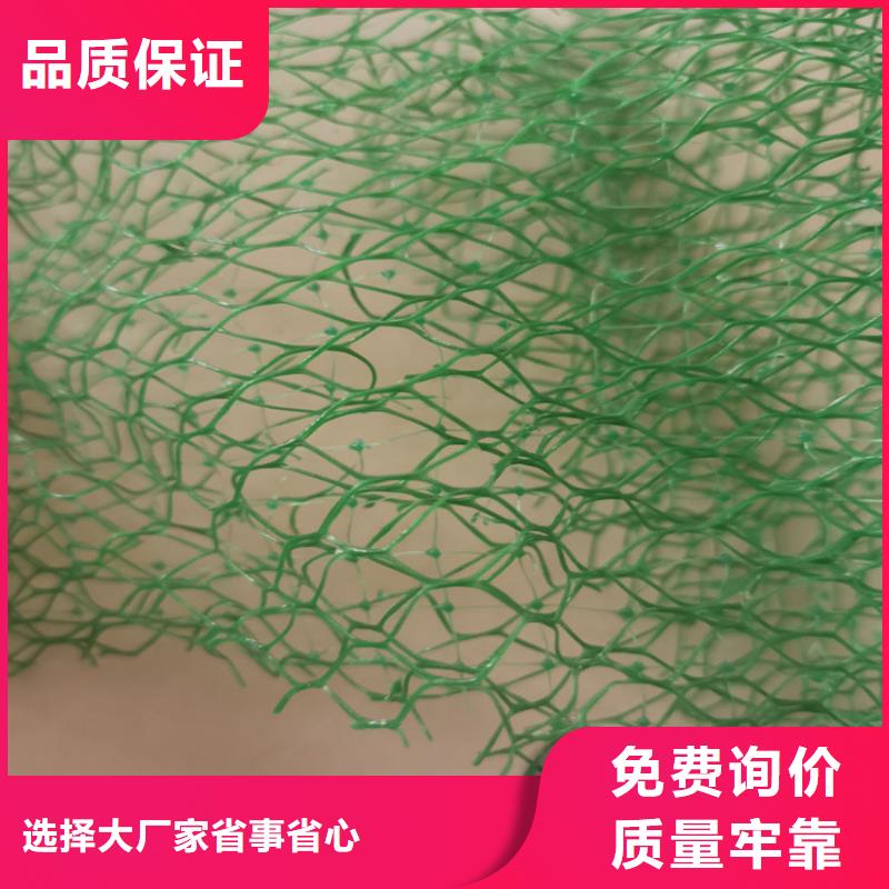 三维植被网HDPE土工膜畅销本地