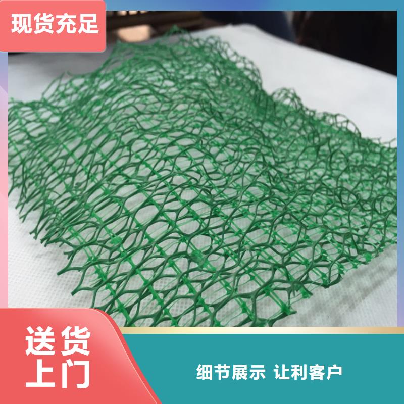 三维植被网,【塑料排水板】产地厂家直销