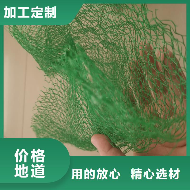 【三維植被網(wǎng)【植草格】顏色尺寸款式定制】