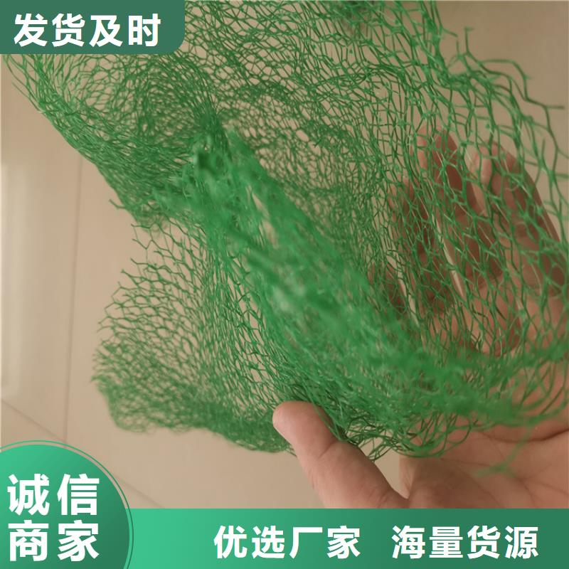 三維植被網【排水板】從廠家買售后有保障