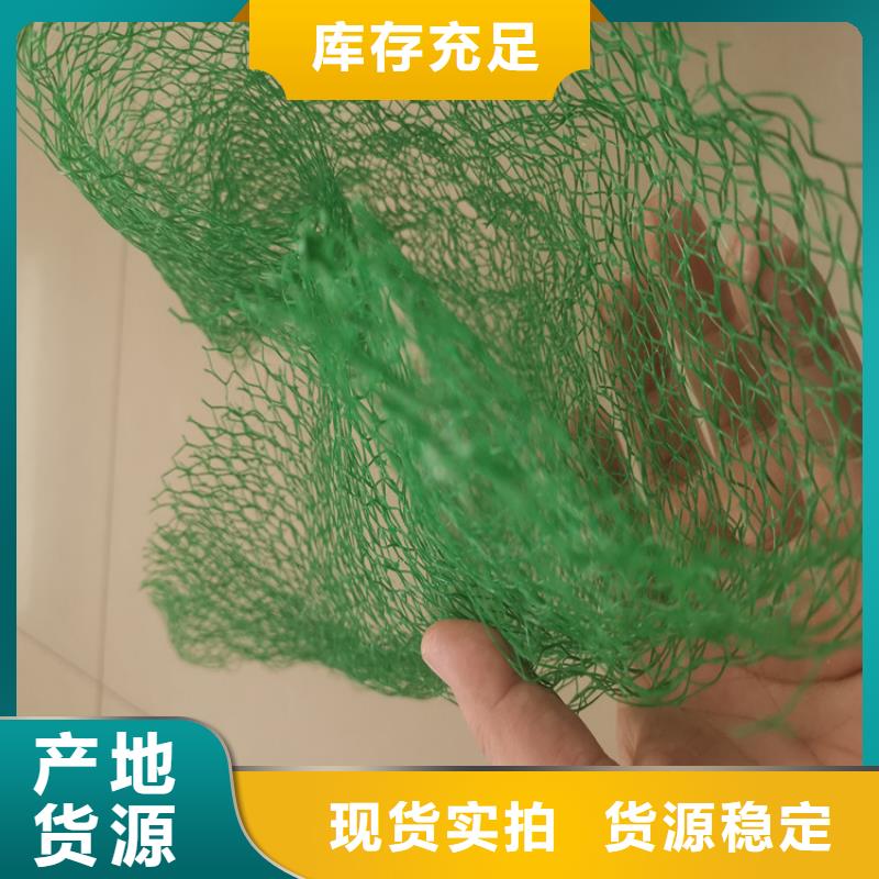 三維植被網【排水板】從廠家買售后有保障