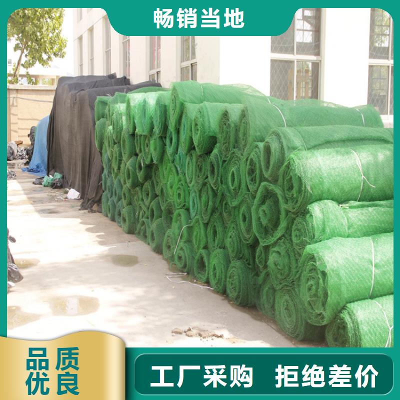 鼎诺土工格栅【三维植被网】_软式透水管免费询价sz5e.com
