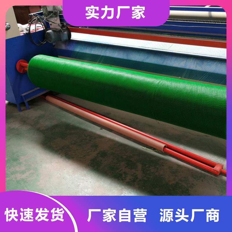 【 三维植被网膨润土防水毯买的放心】 鼎诺土工材料(益阳市分公司)