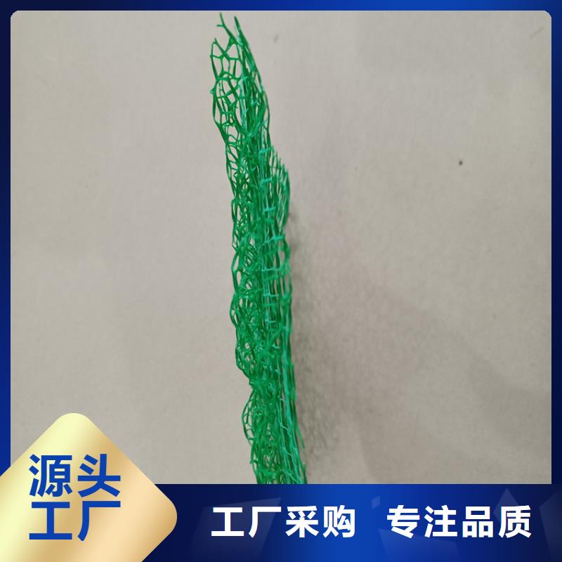 三維植被網,【塑料排水板】產地廠家直銷
