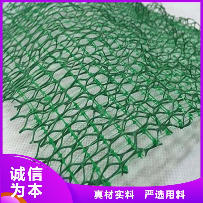 三維植被網【排水板】從廠家買售后有保障