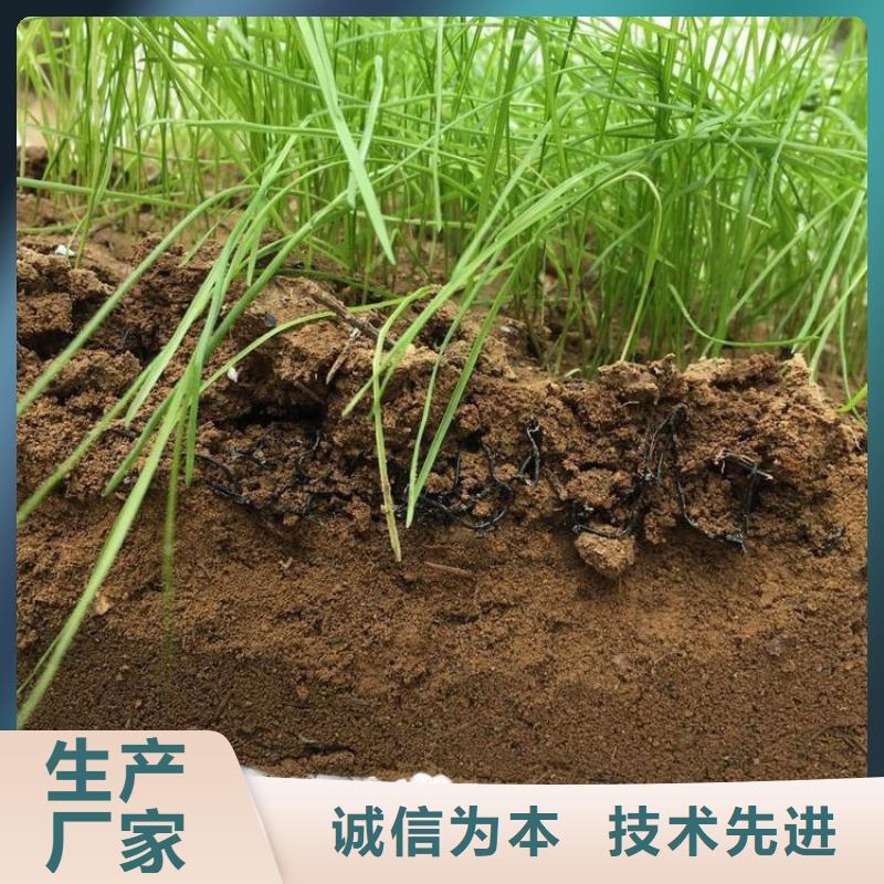 水土保護毯防草布定制銷售售后為一體
