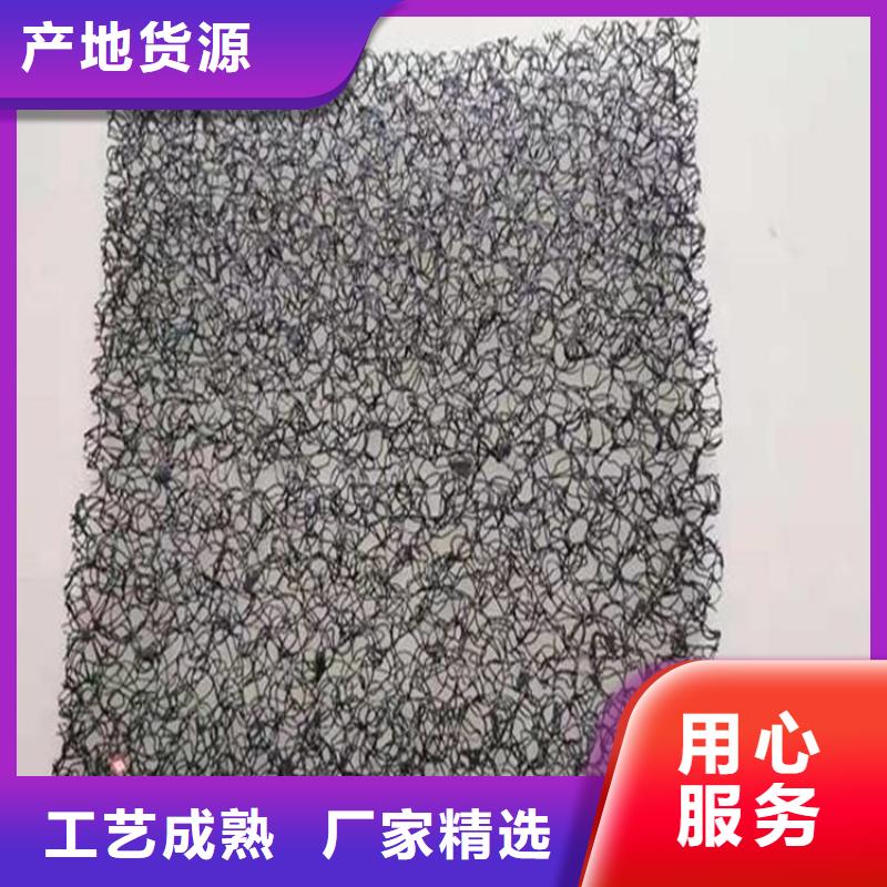 水土保護毯-【植草格】源頭廠家經驗豐富