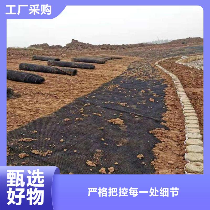 水土保护毯,水泥毯批发价格