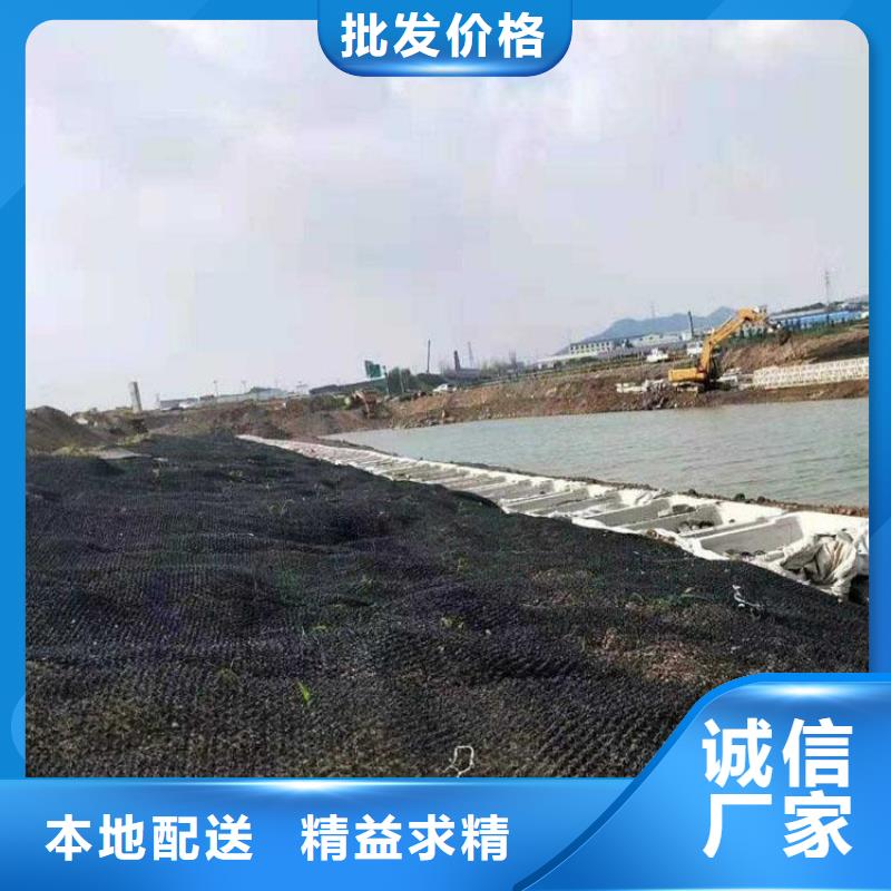土工格栅视频-江苏省苏州市鼎诺土工格栅可服务区域太仓|吴中|宿迁|镇江|常州|扬州|南通|南京等