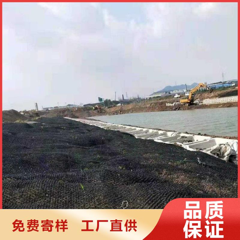 水土保護毯HDPE土工膜生產經驗豐富