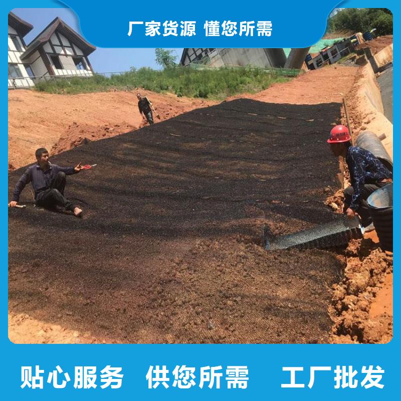 水土保護毯排水板行業優選