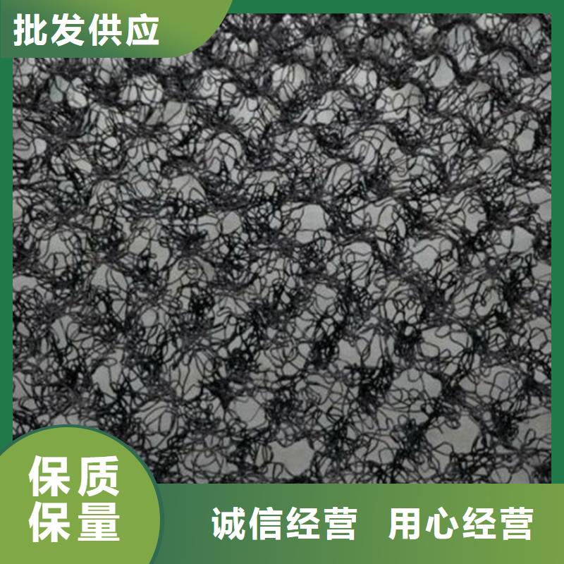 【水土保護(hù)毯】植草格講信譽保質(zhì)量